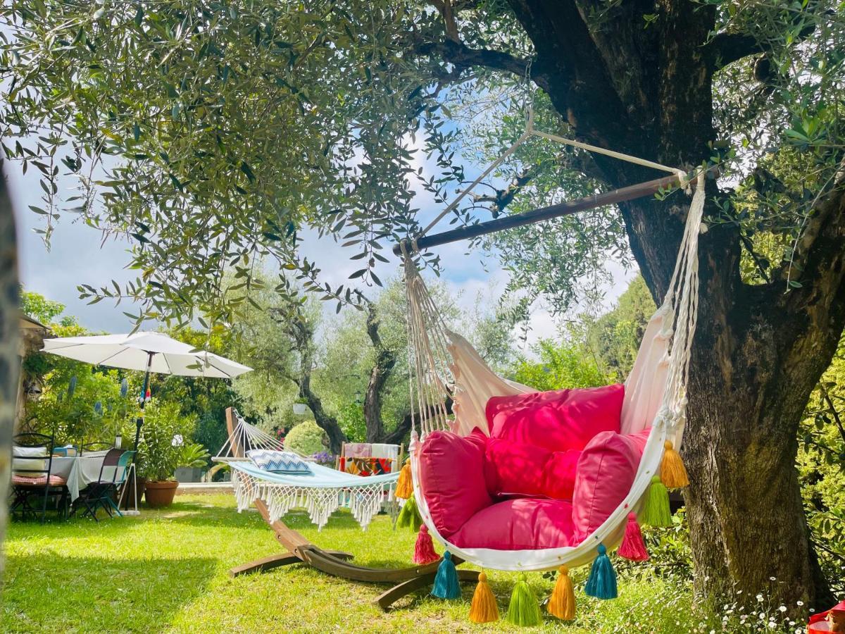 Abeille Bed & Breakfast Vence Eksteriør bilde